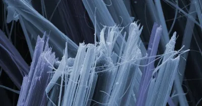 Asbestos The Major Risk Factor of Mesothelioma